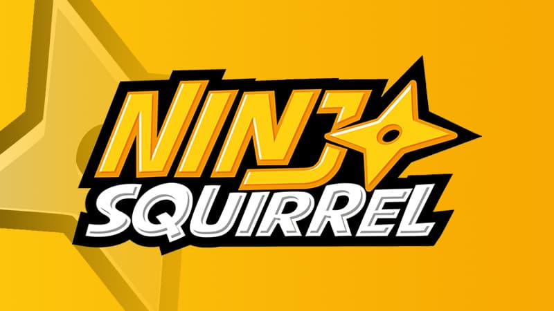 Ninja Squirrel Gaming
