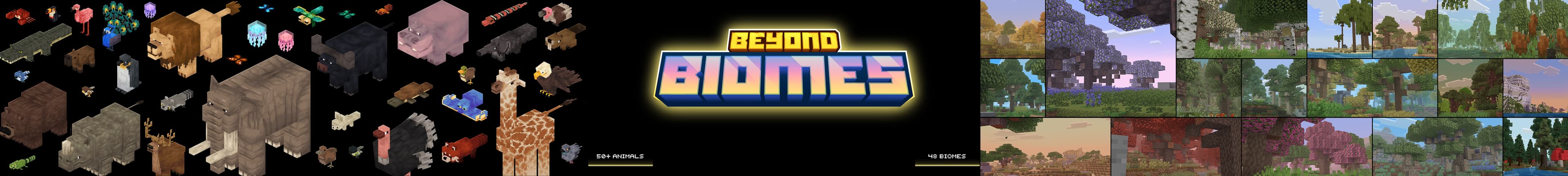 Hero banner