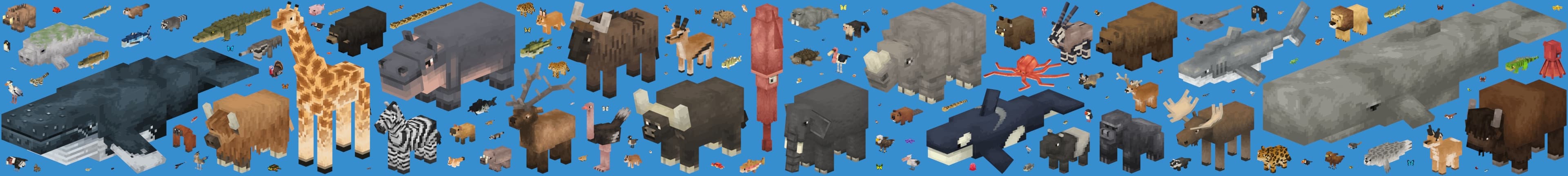 Hero banner