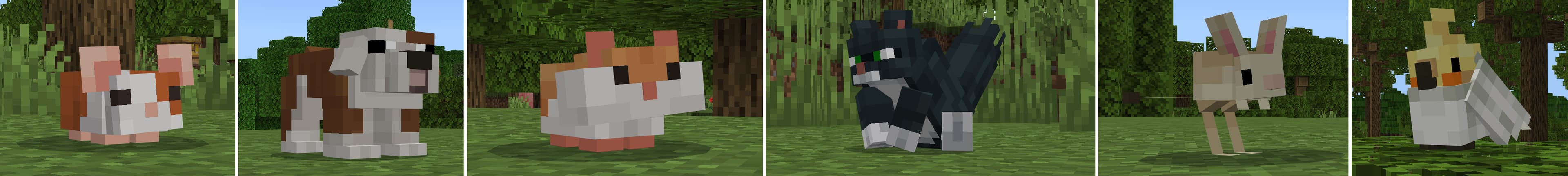 Hero banner